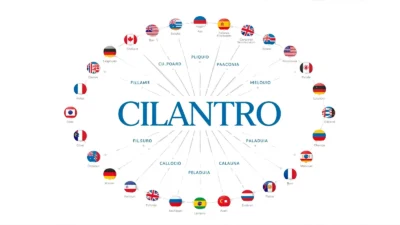 Cilantro in Different Languages
