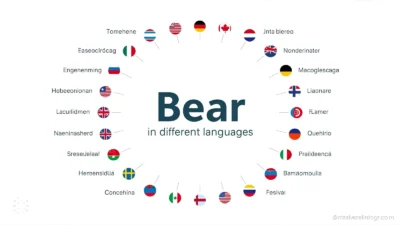 Bear in Different Languages