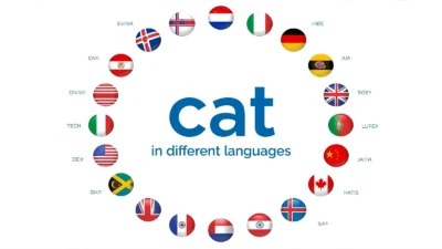 cat in different languages