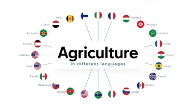 Agriculture in Different Languages